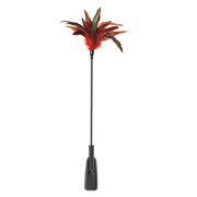 Red feather tickler with a black leather crop slapper.