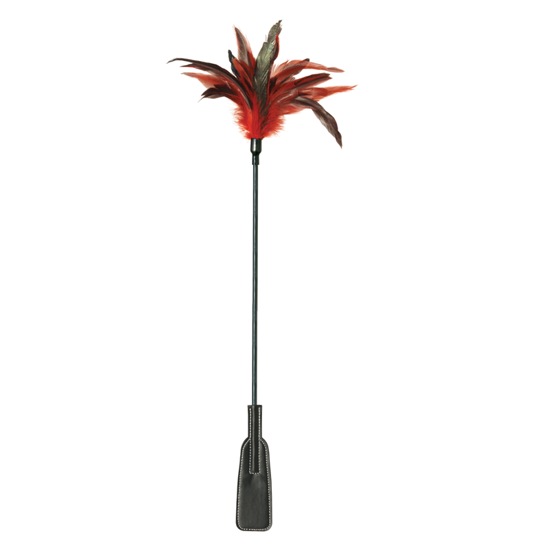 Red feather tickler with a black leather crop slapper.