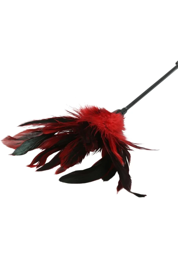 Red and black feather tickler with a black handle.