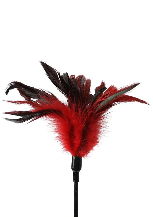 Red and black feather tickler with a black handle.