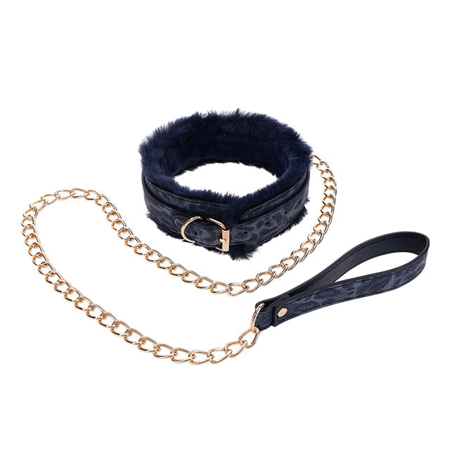 Navy faux fur collar with gold chain leash.